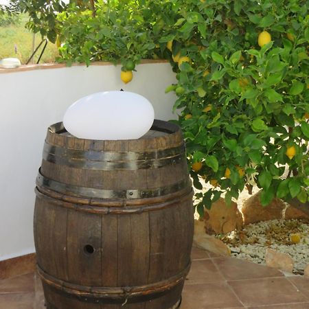 B&B Finca La Manchica カルタヘナ エクステリア 写真