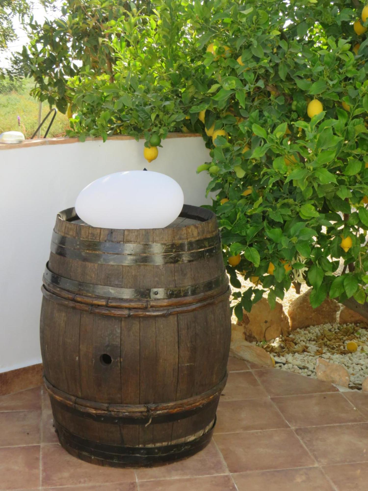 B&B Finca La Manchica カルタヘナ エクステリア 写真